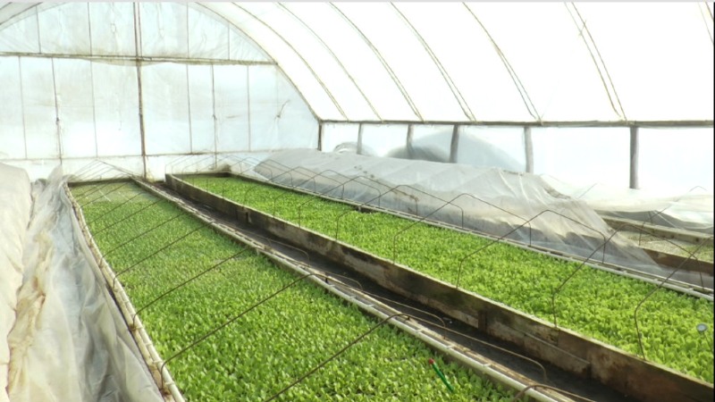 Sjajna vest za Dragačevce poljoprivrednike: Stigli novi plastenici u opštinu Lučani za stabilan prihod