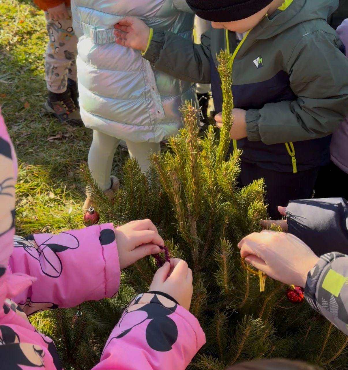 Novogodišnja radost uz brigu o prirodi: Mališani u Čačku sade jelke u dvorištima vrtića