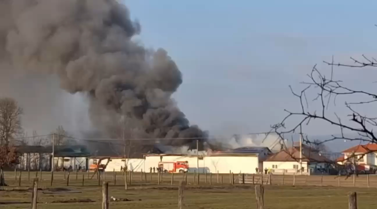 Veliki požar u selu Kukići kod Čačka, izbio u halama za proizvodnju kiselog kupusa (FOTO)(VIDEO)