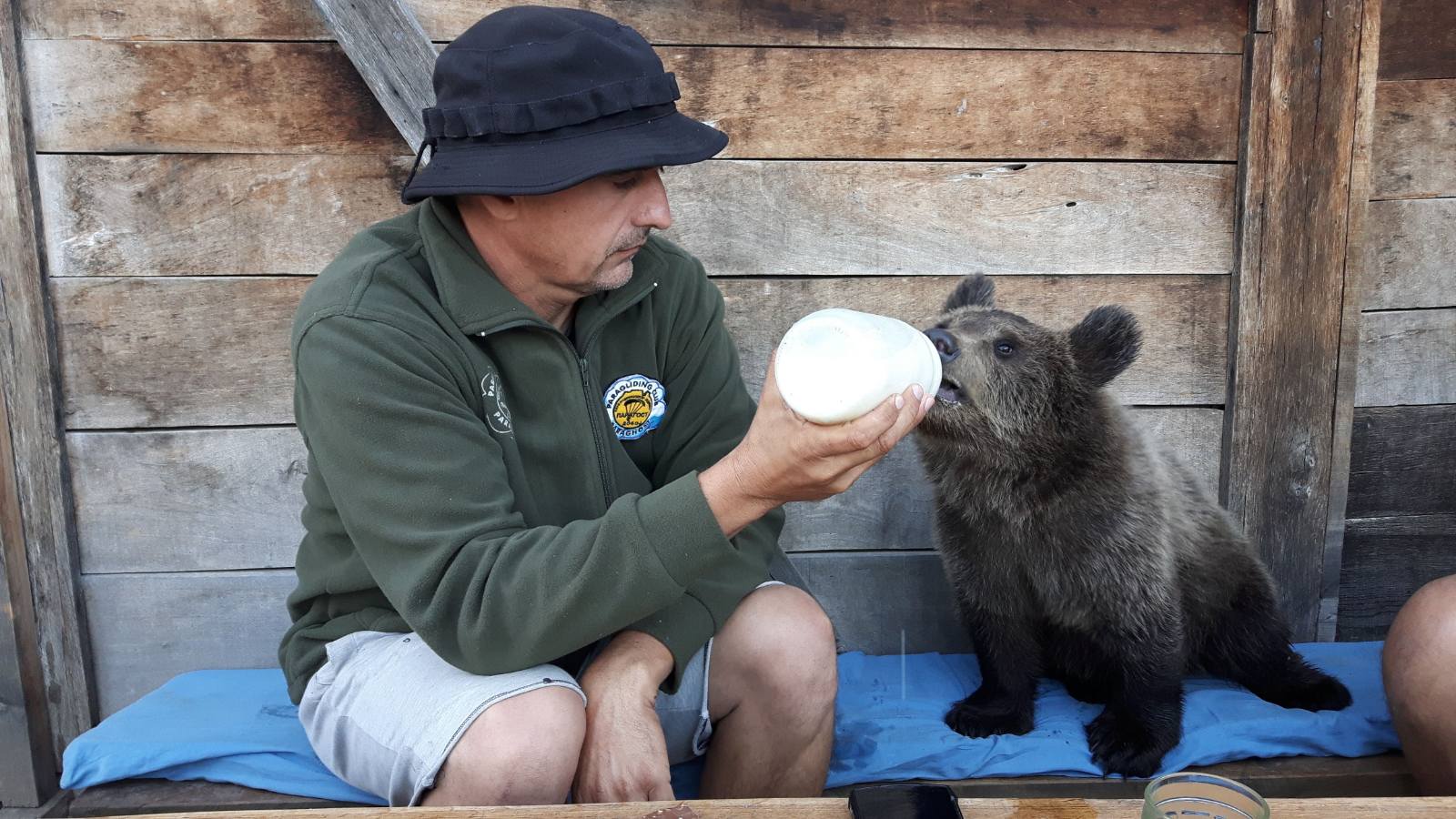 Maša i Ljubica: Medvedice sa Ozrena koje su preživele, sada osvajaju srca svojom nežnošću
